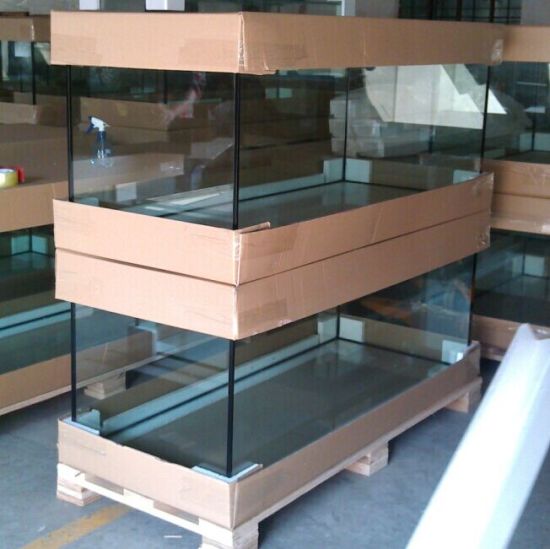 Clear deals glass aquarium